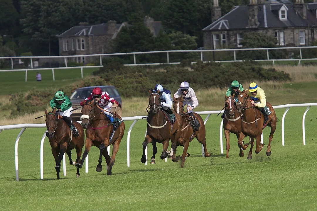 Musselburgh Racecourse